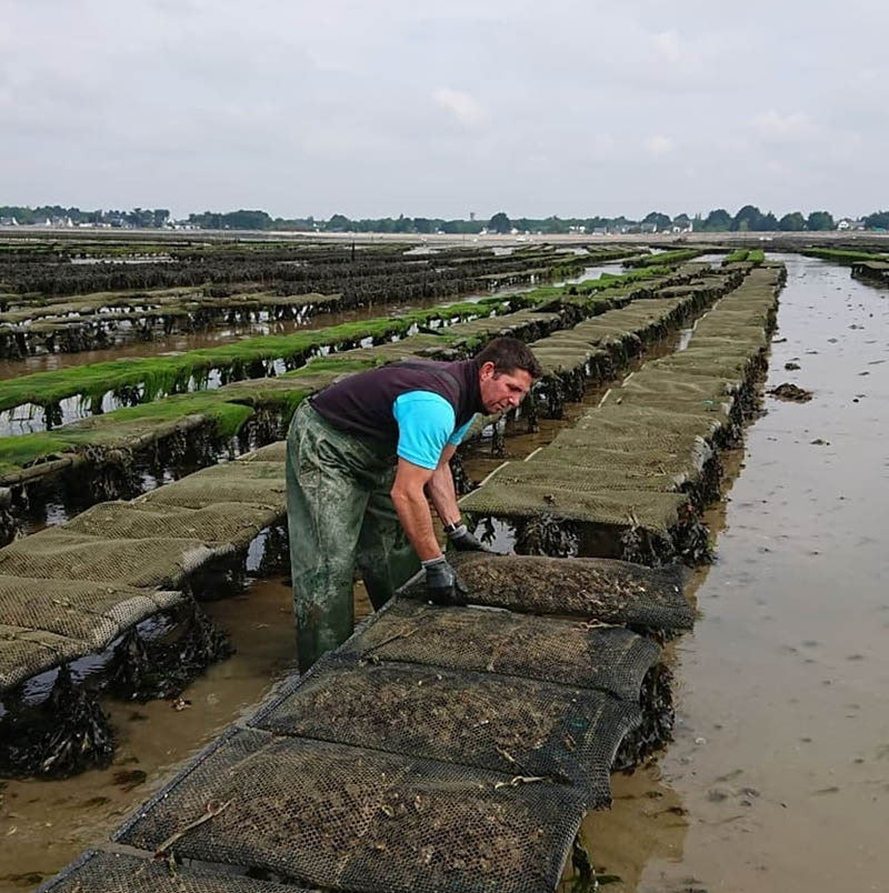 Production d'hu�tres